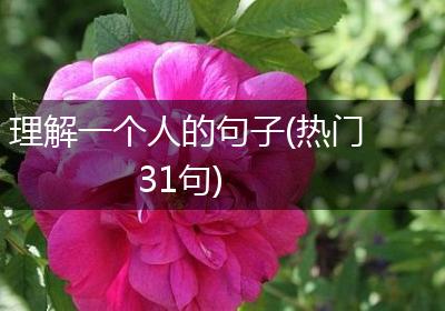 理解一个人的句子(热门31句)