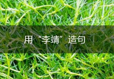 用“李靖”造句