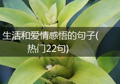 生活和爱情感悟的句子(热门22句)