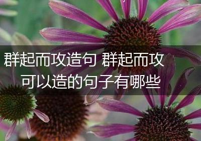 群起而攻造句 群起而攻可以造的句子有哪些