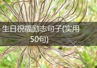 生日祝福励志句子(实用50句)
