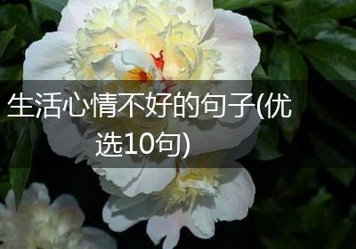 生活心情不好的句子(优选10句)