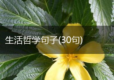 生活哲学句子(30句)