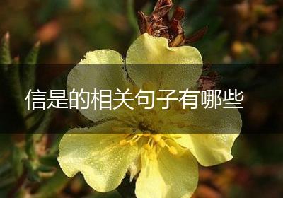 信是的相关句子有哪些