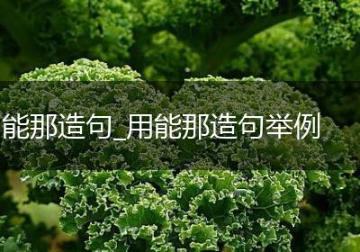 能那造句_用能那造句举例