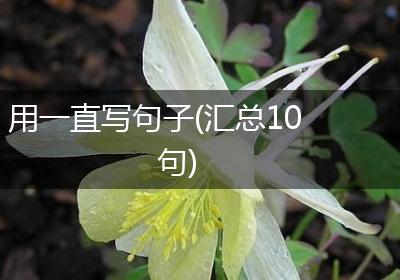 用一直写句子(汇总10句)
