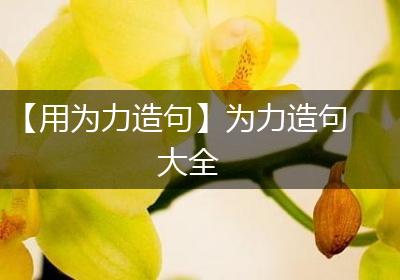 【用为力造句】为力造句大全
