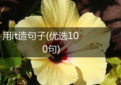 用it造句子(优选100句)