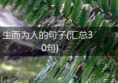生而为人的句子(汇总30句)