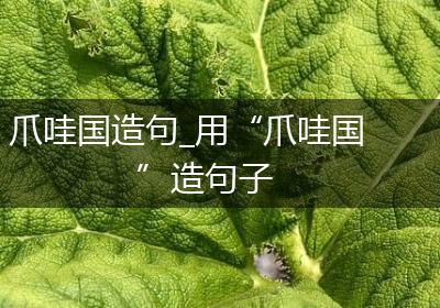 爪哇国造句_用“爪哇国”造句子