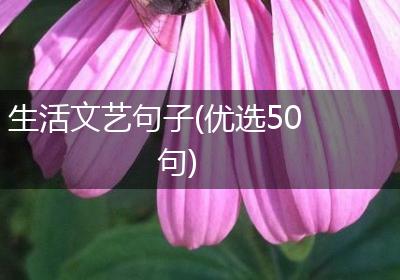 生活文艺句子(优选50句)