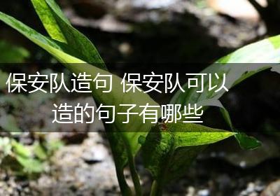 保安队造句 保安队可以造的句子有哪些
