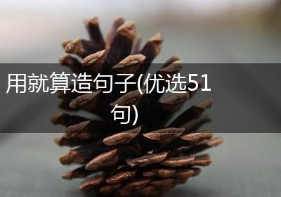 用就算造句子(优选51句)