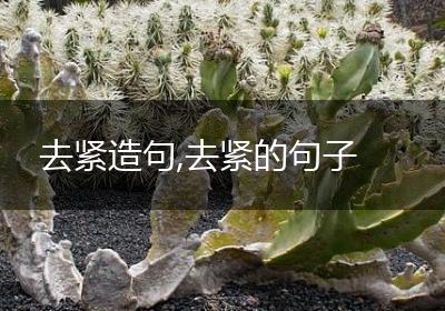 去紧造句,去紧的句子