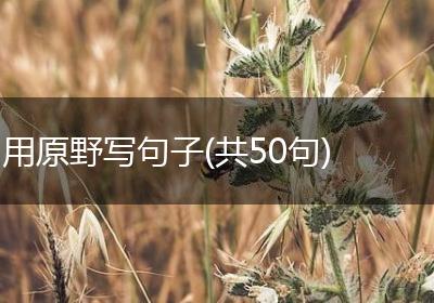 用原野写句子(共50句)