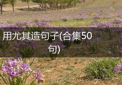 用尤其造句子(合集50句)
