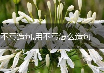 不亏造句,用不亏怎么造句