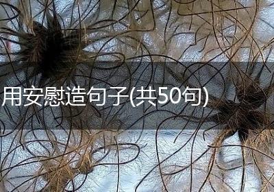 用安慰造句子(共50句)