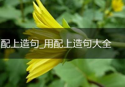 配上造句_用配上造句大全