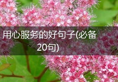 用心服务的好句子(必备20句)
