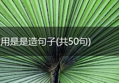 用是是造句子(共50句)