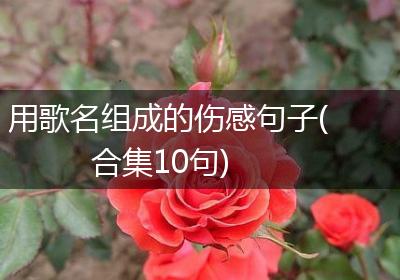 用歌名组成的伤感句子(合集10句)