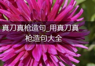 真刀真枪造句_用真刀真枪造句大全