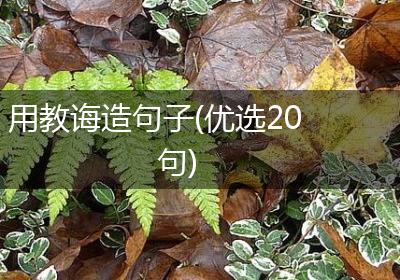 用教诲造句子(优选20句)