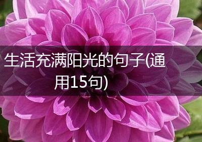 生活充满阳光的句子(通用15句)