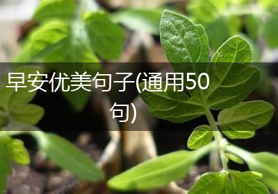 早安优美句子(通用50句)