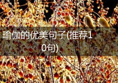 瑜伽的优美句子(推荐10句)
