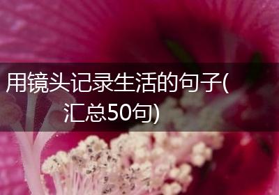 用镜头记录生活的句子(汇总50句)