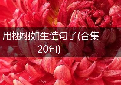 用栩栩如生造句子(合集20句)