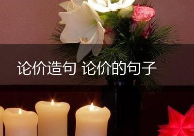 论价造句 论价的句子