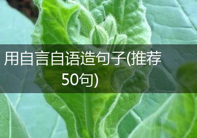 用自言自语造句子(推荐50句)