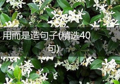 用而是造句子(精选40句)