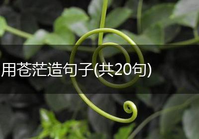 用苍茫造句子(共20句)