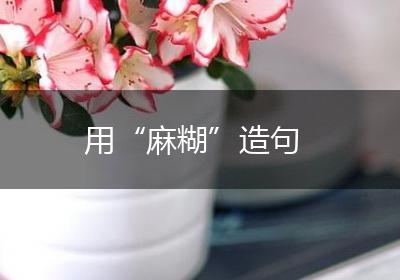 用“麻糊”造句