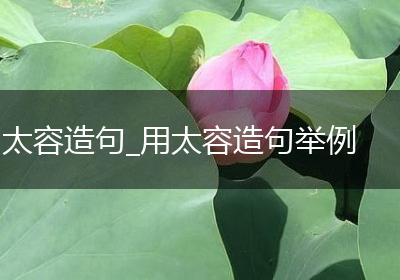 太容造句_用太容造句举例