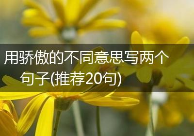 用骄傲的不同意思写两个句子(推荐20句)