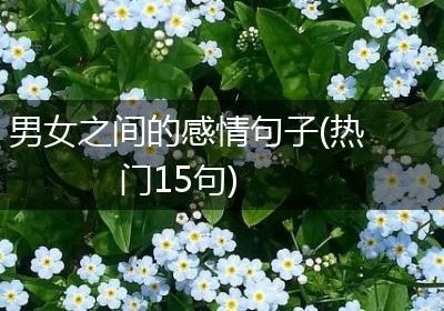 男女之间的感情句子(热门15句)