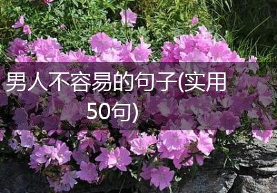 男人不容易的句子(实用50句)