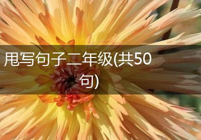 甩写句子二年级(共50句)