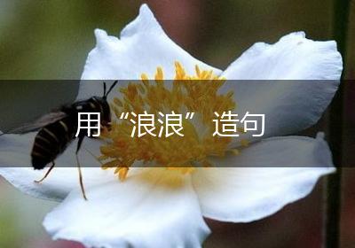 用“浪浪”造句