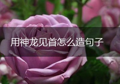 用神龙见首怎么造句子