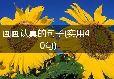画画认真的句子(实用40句)