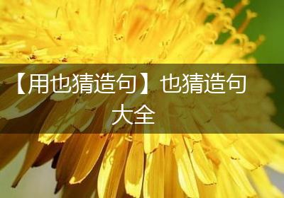【用也猜造句】也猜造句大全