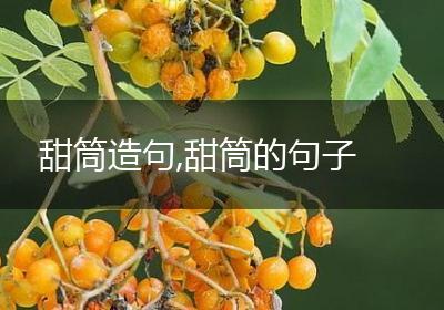 甜筒造句,甜筒的句子