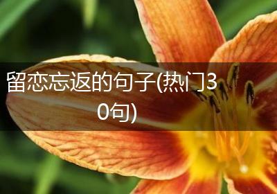 留恋忘返的句子(热门30句)