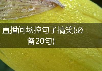 直播间场控句子搞笑(必备20句)